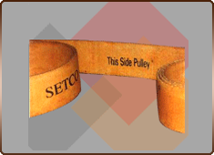 Bucket Elevator Services